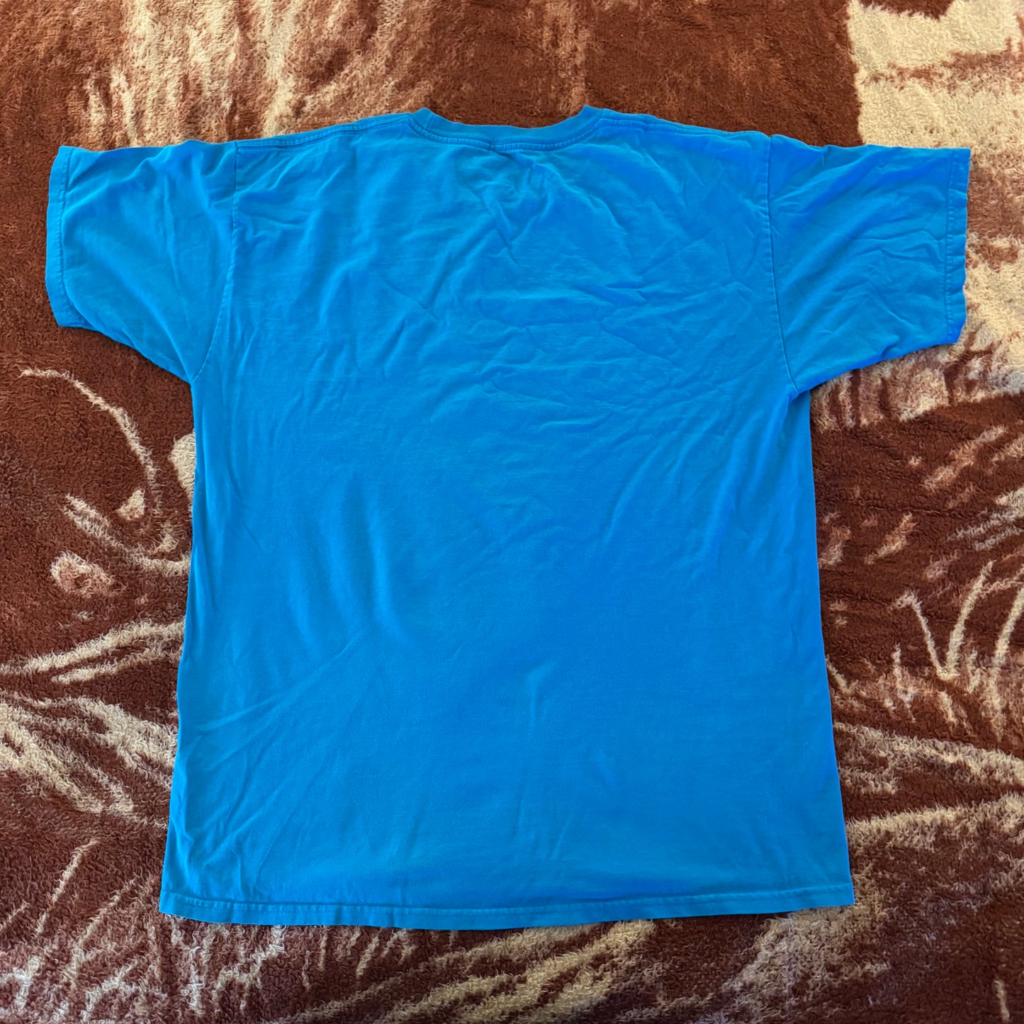 blue hurley surfer graphic short sleeve shirt (L)
